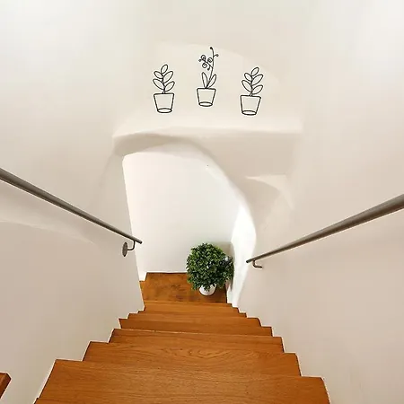 Charming Private Flat Navona Square Апартаменты *